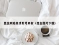 昌吉昆虫网站高清照片素材（昆虫图片下载）