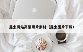 昌吉昆虫网站高清照片素材（昆虫图片下载）